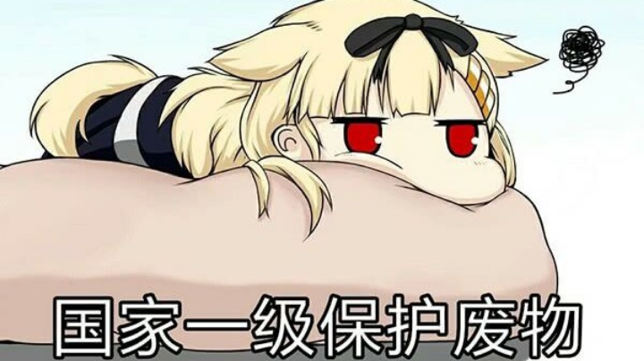 菜鸟选手