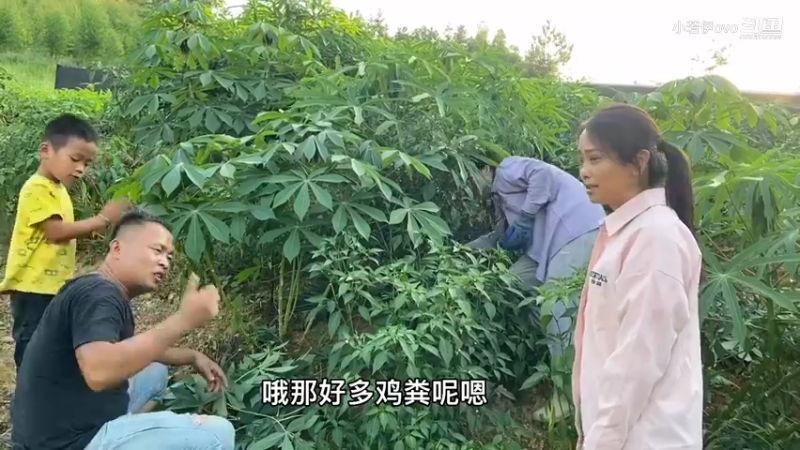 农庄风景优美，推荐表弟他们来这里相亲谈恋爱