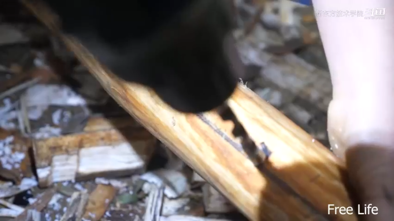野外觅桃源W17制作农具竹扫帚5#妹子独自深入荒野隐居，建设世外桃源
