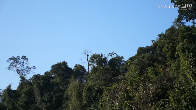 小姐姐野外觅桃源W11用泥制作土灶1#妹子独自深入荒野隐居，建设世外桃源