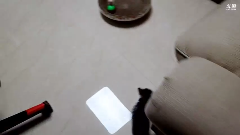 【2021-09-20 00点场】逐梦兄弟：502紫牌大哥的一天