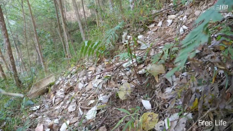 小姐姐野外觅桃源W11用泥制作土灶3#妹子独自深入荒野隐居，建设世外桃源