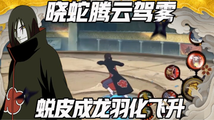 【浪子】晓蛇腾云驾雾