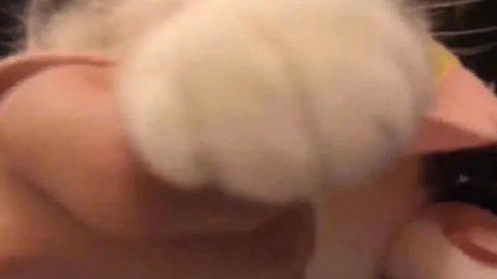 【 2021-09-20 13点场】糖醋鲲：重生之破防流女主