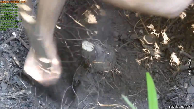 【纪录片】酷炫你你你的精彩时刻 20210920 13点场