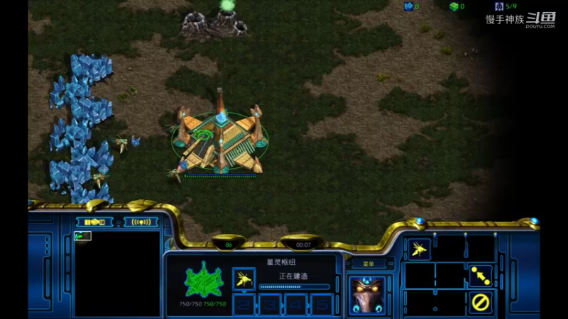 斗魂pvt2021-09-20-41-40