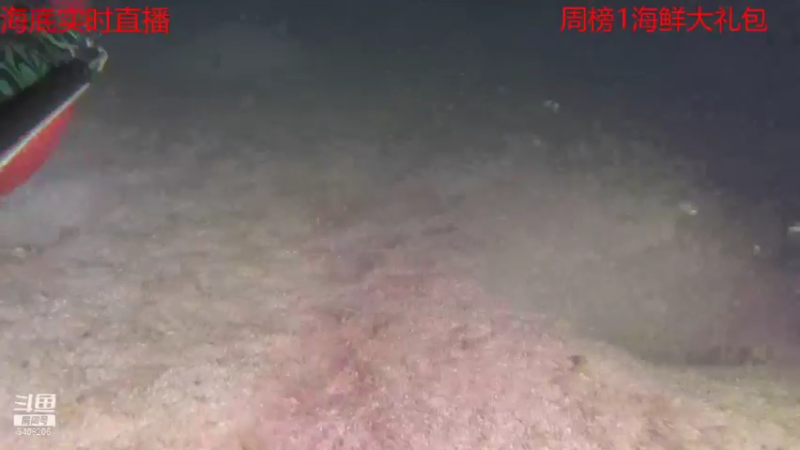 【2021-09-20 21点场】海道丶：今晚九点海底直播