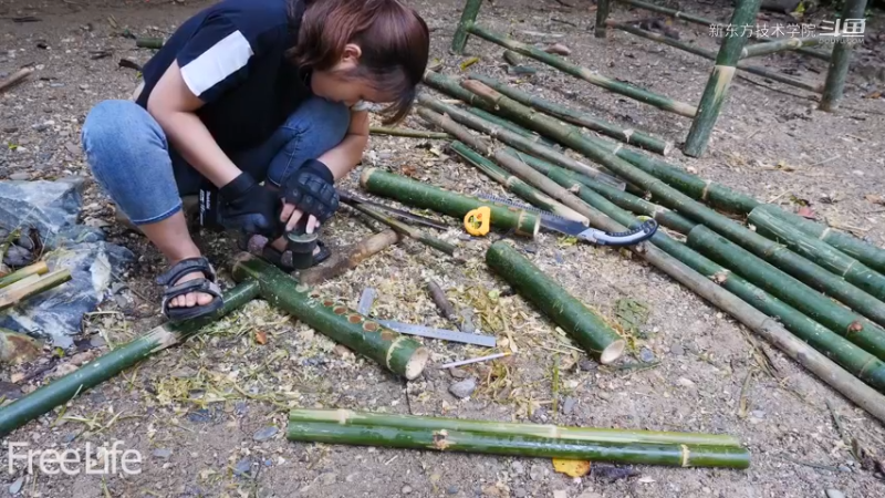 野外觅桃源W21休闲竹秋千5#妹子独自深入荒野隐居，建设世外桃源
