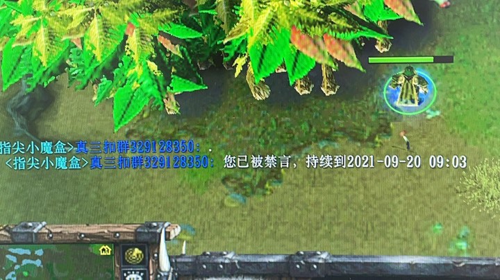 真三