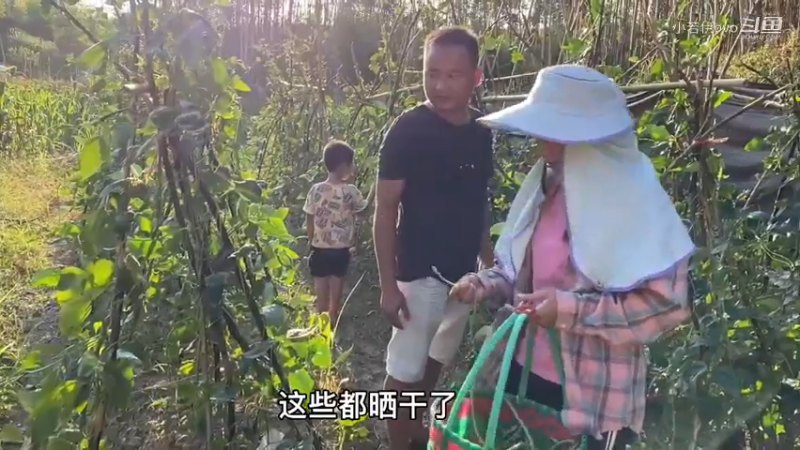 和儿子摘豆角，回家做成美食，新鲜又好吃