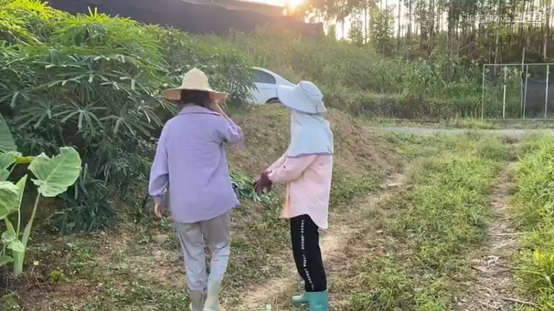 农庄风景优美，推荐表弟他们来这里相亲谈恋爱