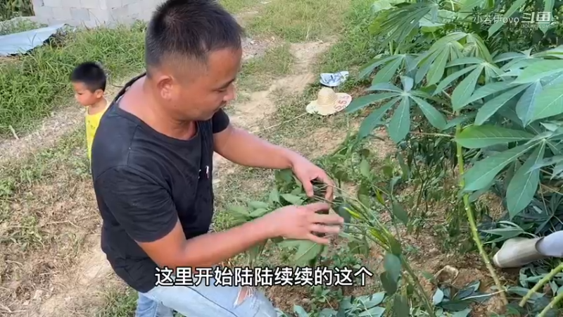 农庄风景优美，推荐表弟他们来这里相亲谈恋爱