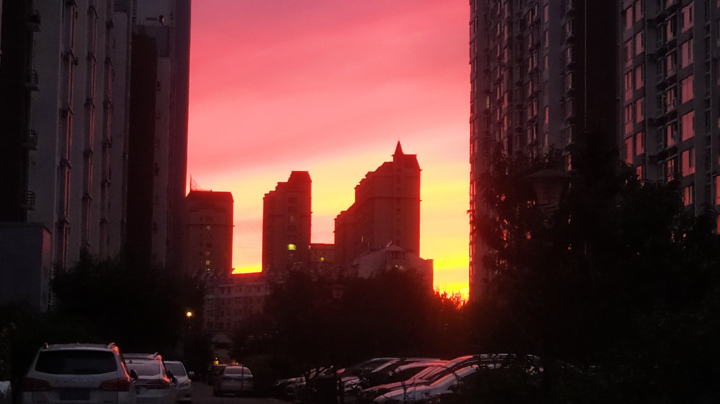 黄金矿工现役职业选手