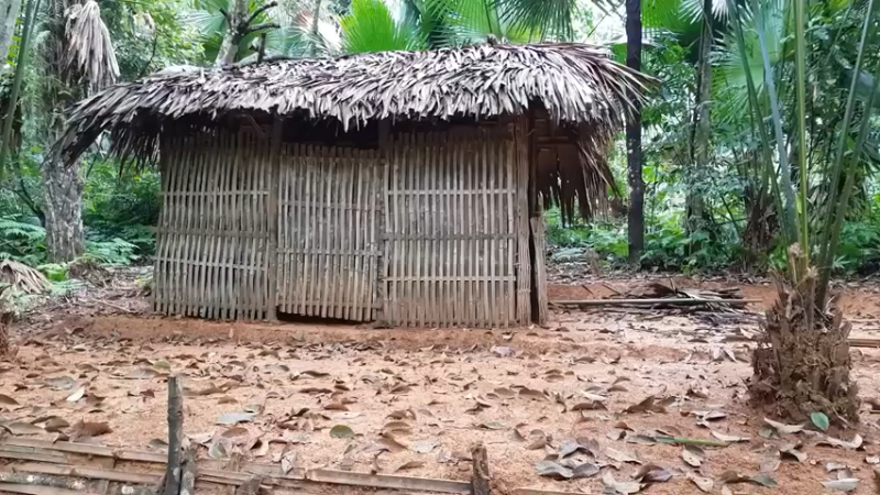 偏远边塞 云南妹子丛林之家(1)更新day9