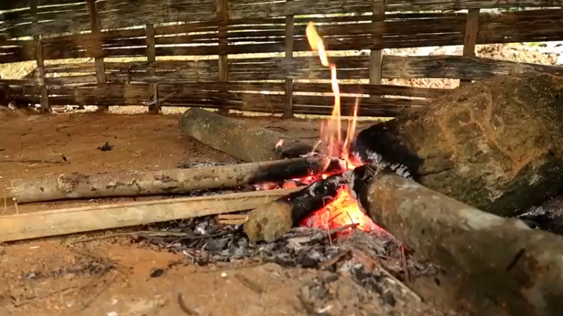 偏远边塞 云南妹子丛林之家(1)更新day19