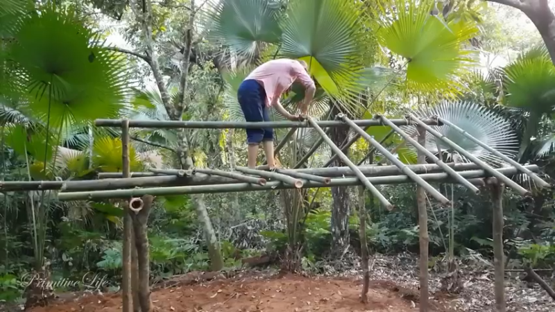 偏远边塞 云南妹子丛林之家(13)更新day5