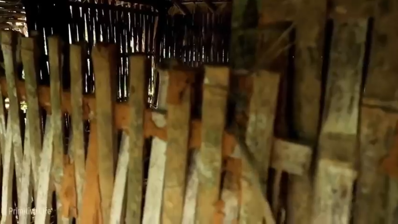 偏远边塞 云南妹子丛林之家(2)更新day17