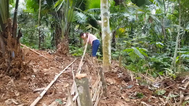 偏远边塞 云南妹子丛林之家(4)更新day6