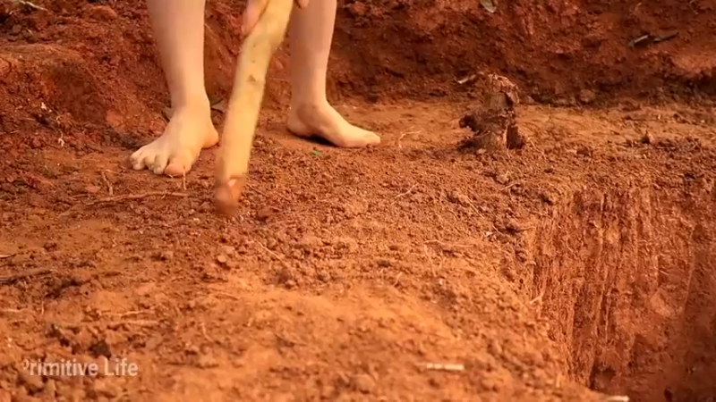 偏远边塞 云南妹子丛林之家(3)更新day16