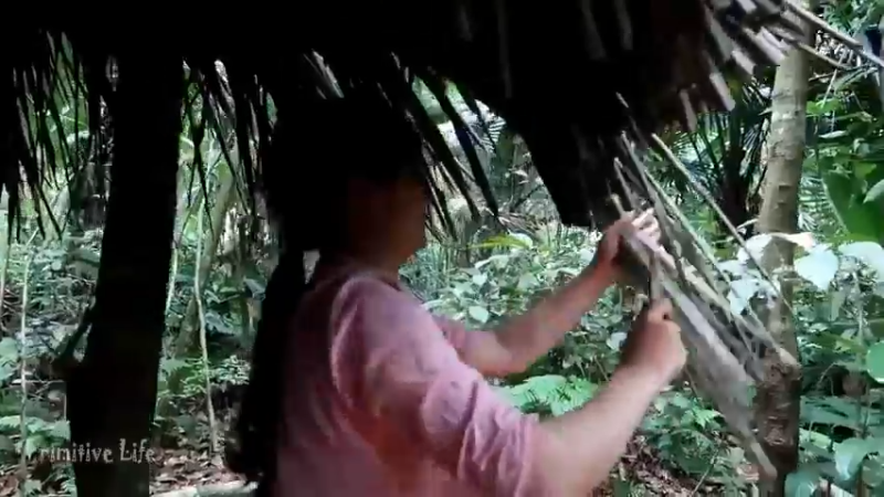 偏远边塞 云南妹子丛林之家(6)更新day10