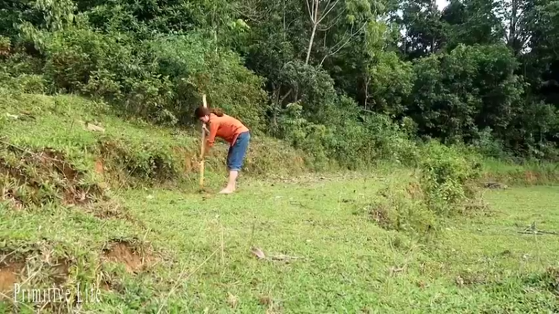 偏远边塞 云南妹子丛林之家(10)更新day20