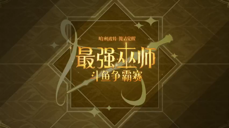 D.哈利波特：魔法觉醒-最强巫师争霸赛-小组比赛D09