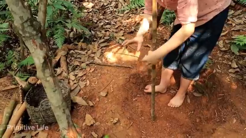 偏远边塞 云南妹子丛林之家(2)更新day15