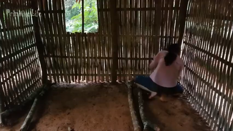 偏远边塞 云南妹子丛林之家(5)更新day7