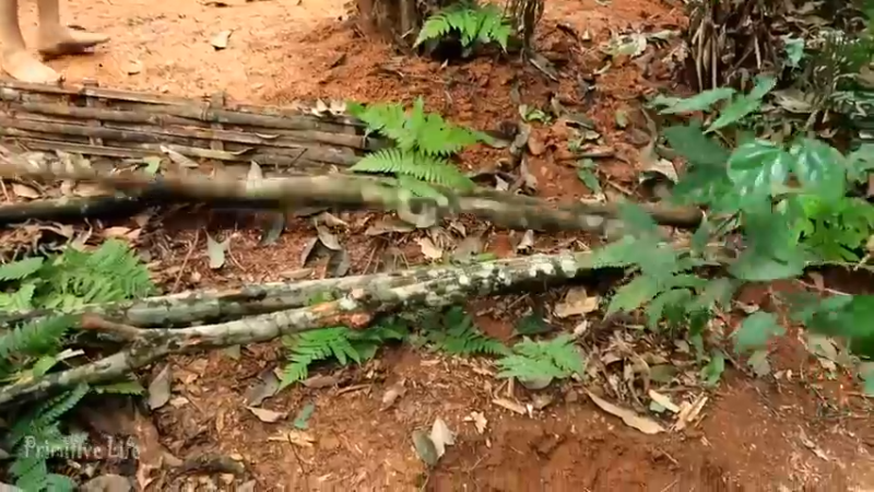 偏远边塞 云南妹子丛林之家(13)更新day13