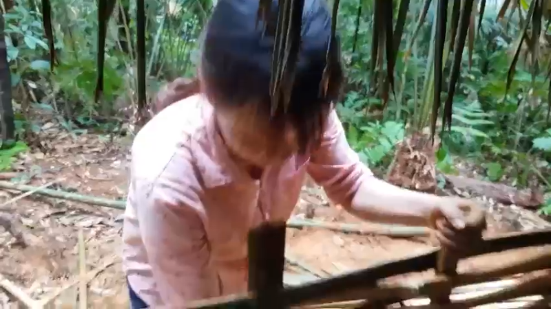 偏远边塞 云南妹子丛林之家(25)更新day5