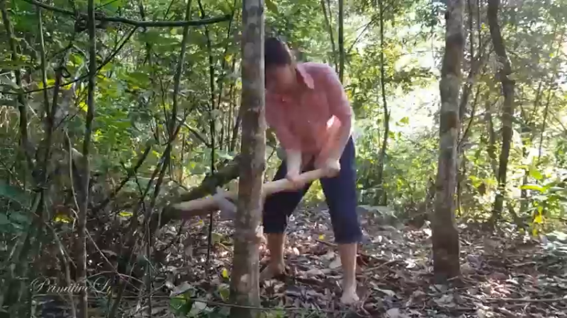 偏远边塞 云南妹子丛林之家(3)更新day5