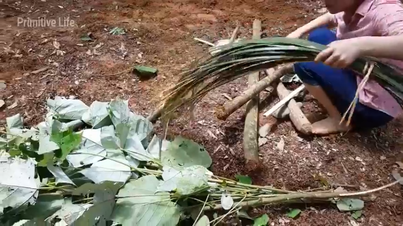 偏远边塞 云南妹子丛林之家(5)更新day3