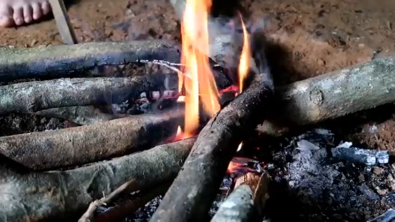 偏远边塞 云南妹子丛林之家(1)更新day12