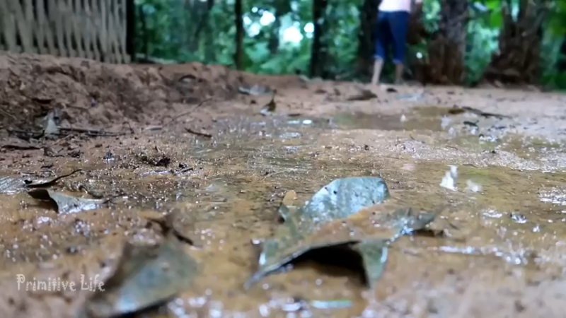 偏远边塞 云南妹子丛林之家(5)更新day11