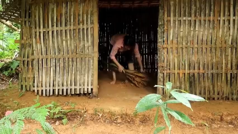 偏远边塞 云南妹子丛林之家(4)更新day17