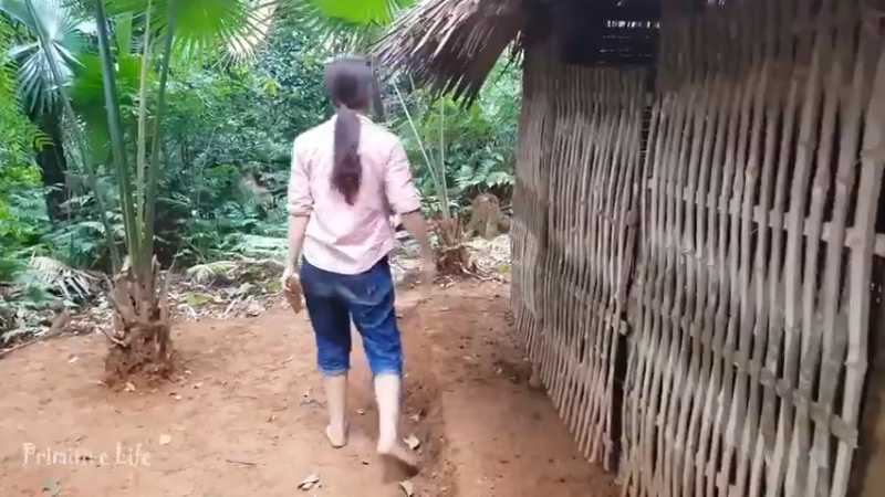 偏远边塞 云南妹子丛林之家(5)更新day9