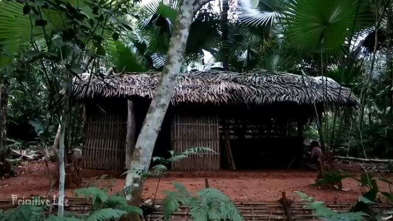 偏远边塞 云南妹子丛林之家(9)更新day10