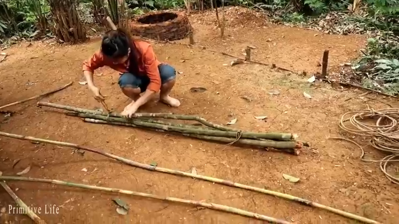 偏远边塞 云南妹子丛林之家(6)更新day18