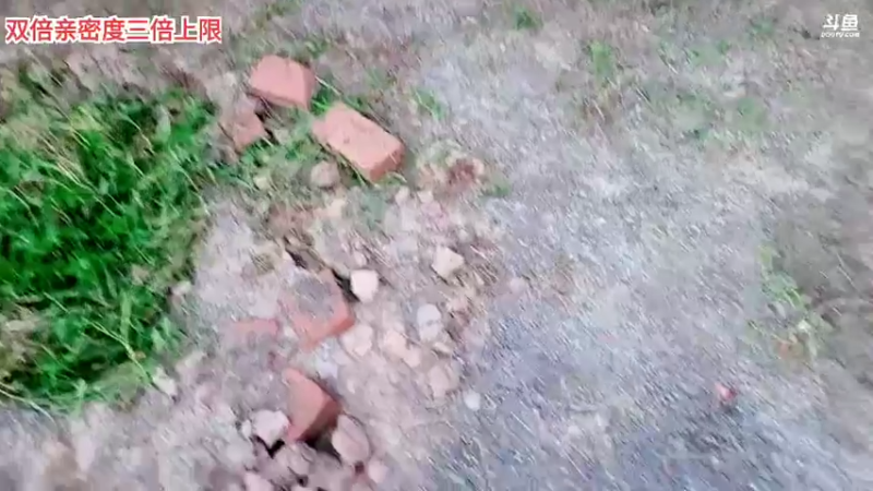 【2021-09-21 18点场】逐梦兄弟：祝大家中秋节快乐，元气满满