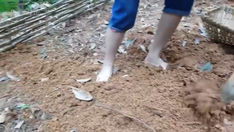 偏远边塞 云南妹子丛林之家(5)更新day6