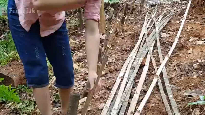 偏远边塞 云南妹子丛林之家(3)更新day6