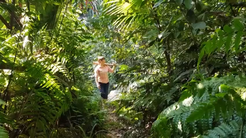 偏远边塞 云南妹子丛林之家(1)更新day8