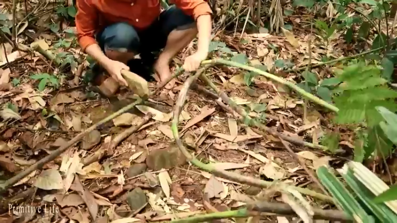 偏远边塞 云南妹子丛林之家(4)更新day18