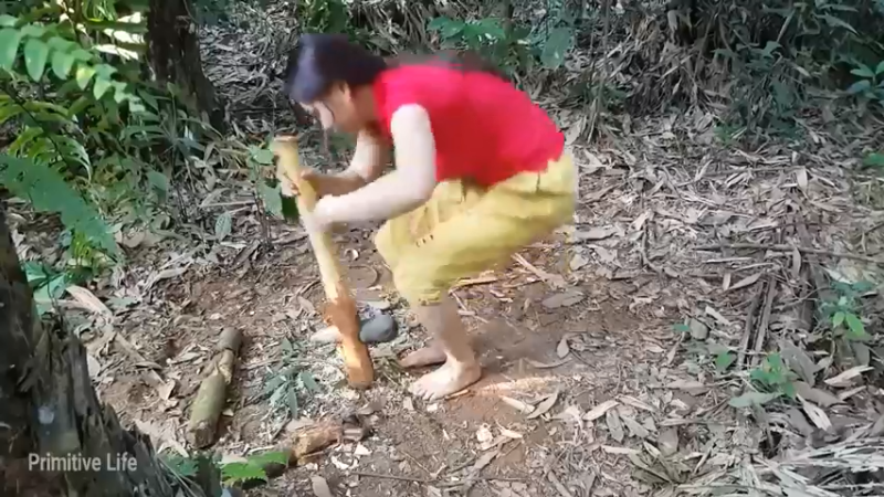 偏远边塞 云南妹子丛林之家(10)更新第一集