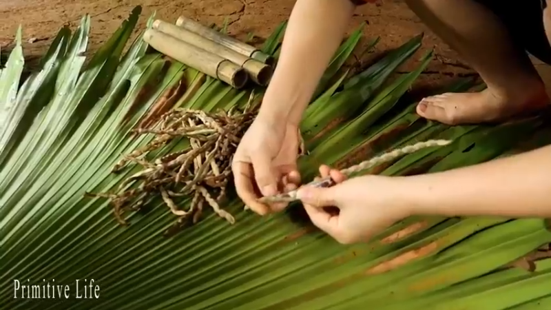 偏远边塞 云南妹子丛林之家(7)更新day20