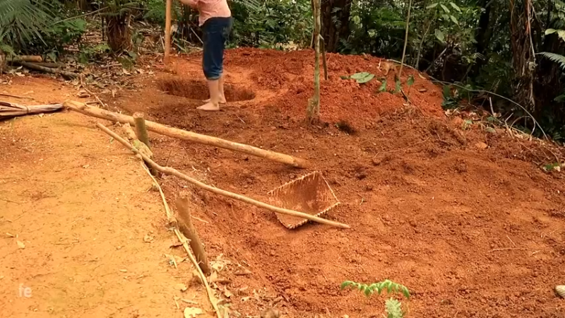 偏远边塞 云南妹子丛林之家(2)更新day16