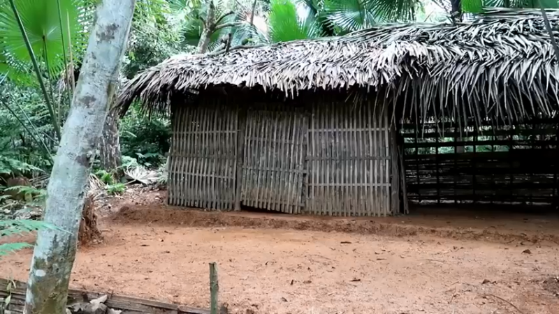 偏远边塞 云南妹子丛林之家(1)更新day10