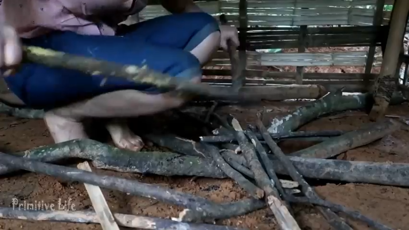 偏远边塞 云南妹子丛林之家(6)更新day11