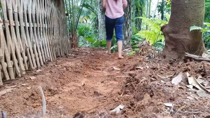 偏远边塞 云南妹子丛林之家(6)更新day6