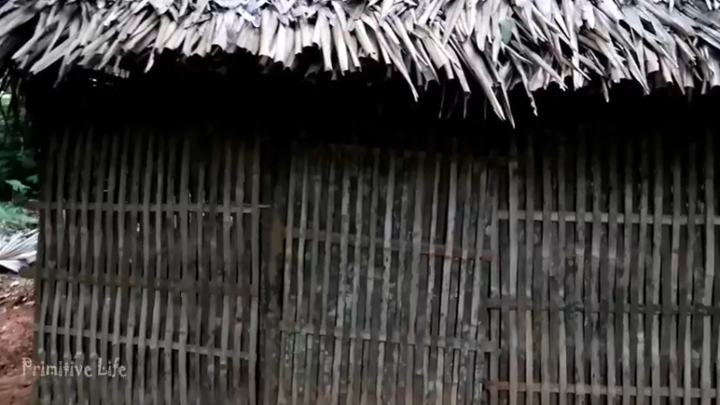 偏远边塞 云南妹子丛林之家(10)更新day10